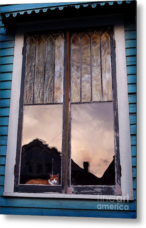 Cat Metal Print featuring the photograph Cat in the Window by Jeanne Woods