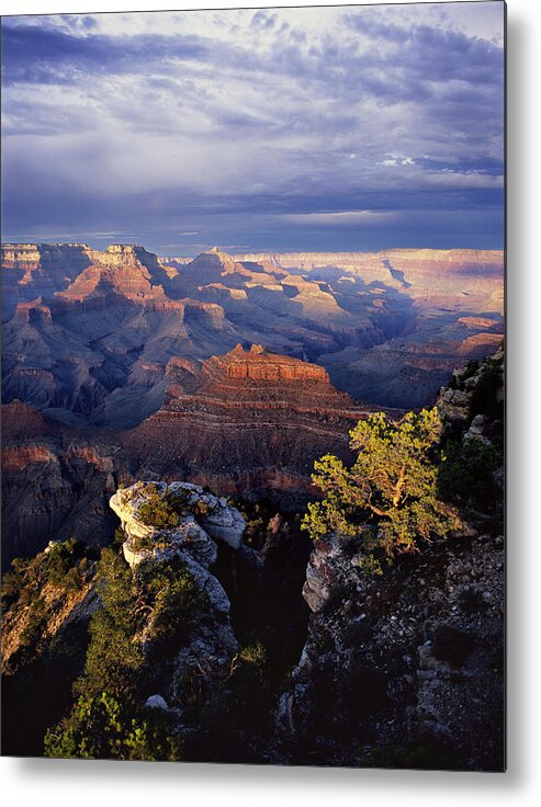 Grand Canyon National Park Metal Print featuring the photograph Curtain Call by Mike Buchheit