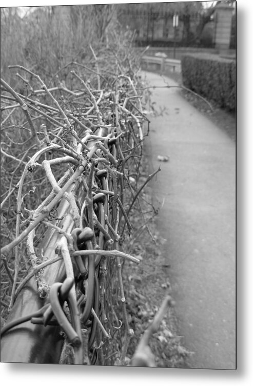 Black And White Metal Print featuring the photograph Down to the Wire by Amanda Vouglas