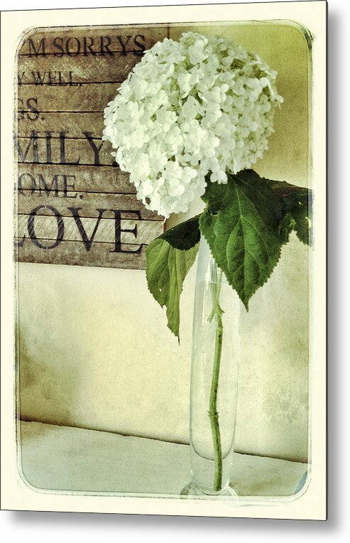 Hydrangea Metal Print featuring the photograph Family, Home, Love by Jill Love
