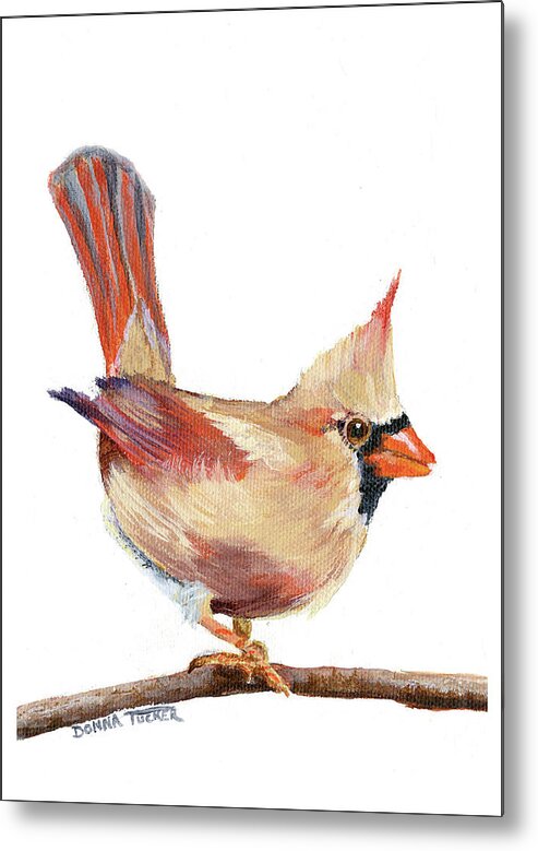 Cardinal Metal Print featuring the painting Female Cardinal by Donna Tucker