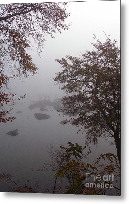 Scenic Tours Metal Print featuring the photograph Filligree In The Fog by Skip Willits