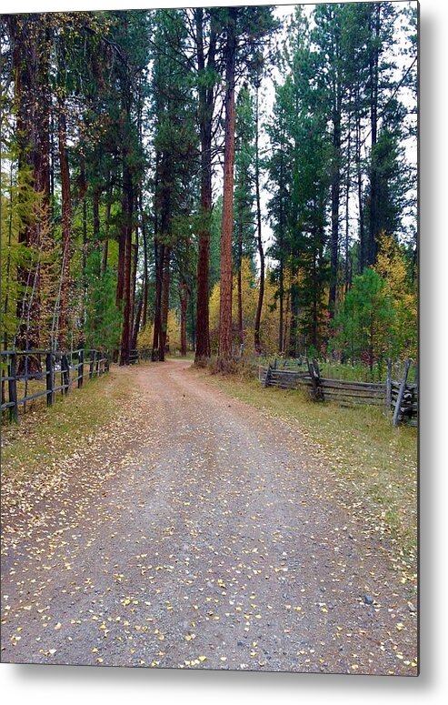Road Metal Print featuring the photograph Follow the Road Less Traveled by Jennifer Lake