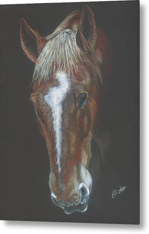 Horse Metal Print featuring the drawing Gentle Suffolk Punch by Sally Trewhitt