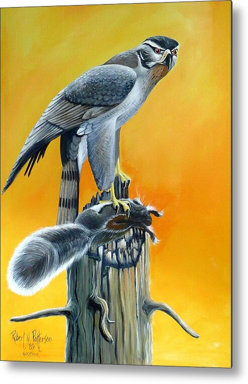 Wildlife Metal Print featuring the painting Goshawk by Bob Patterson