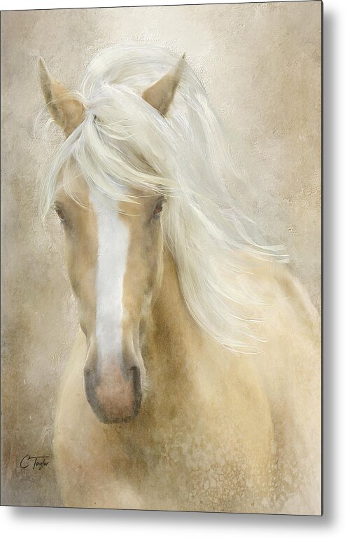 Horses Metal Print featuring the painting Spun Sugar by Colleen Taylor