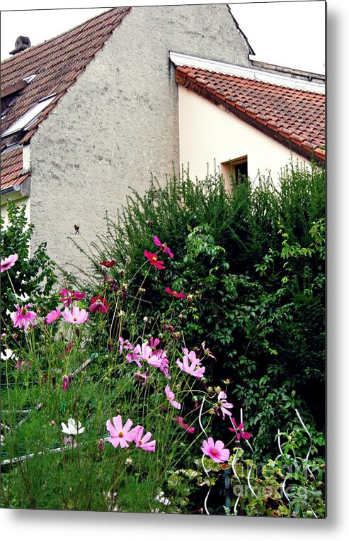 House Metal Print featuring the photograph Home and Garden Schierstein 6 by Sarah Loft
