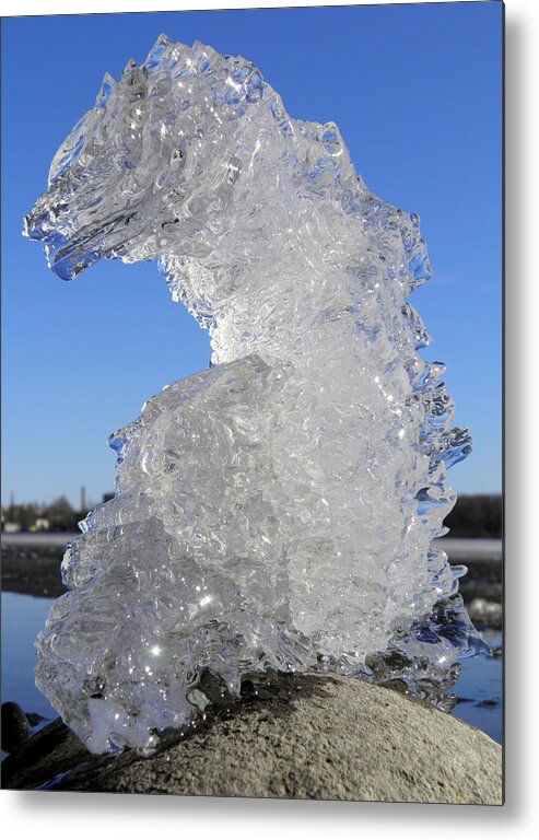 Ice Dragon Metal Print featuring the photograph Ice Dragon by Sami Tiainen