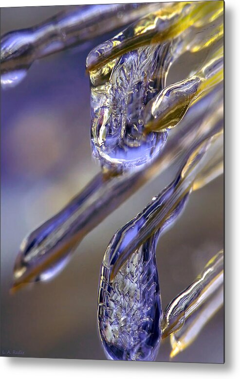 Macro Metal Print featuring the photograph Ice Storm II by Lauren Radke