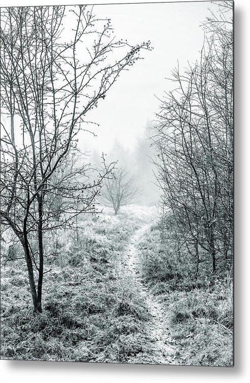 Ice Metal Print featuring the photograph Into the Mist by Nick Bywater