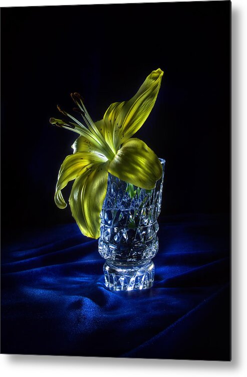 Lily Metal Print featuring the photograph Light inside by Alexey Kljatov