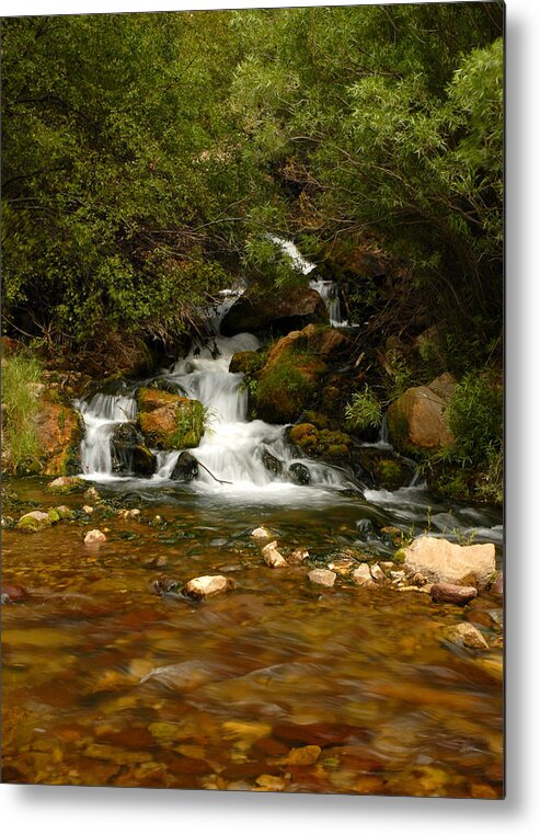 Water Metal Print featuring the photograph Little Big Creek by Scott Read