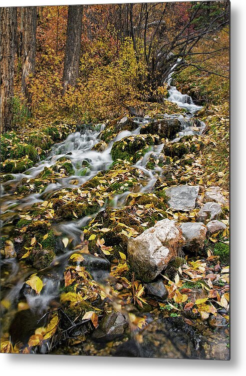 Water Metal Print featuring the photograph Little Creek by Scott Read