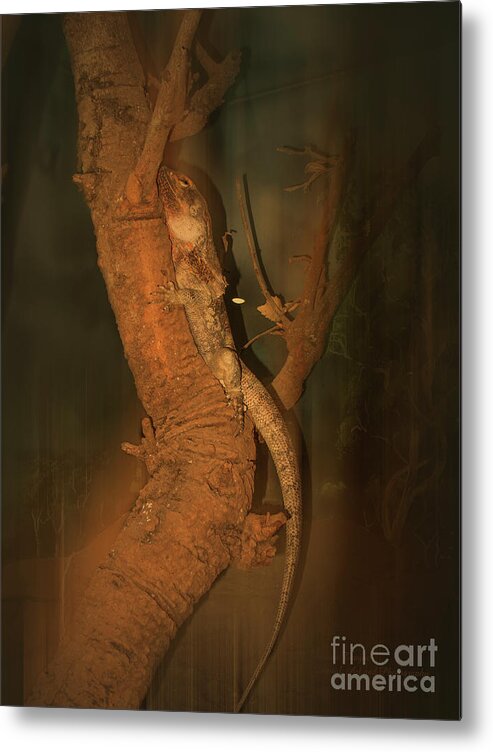 Lizard Metal Print featuring the photograph Lizard on a Tree Trunk by Elaine Teague
