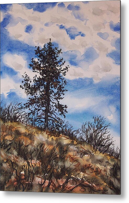 Ponderosa Pine Metal Print featuring the painting Lone Pine by Lynne Haines