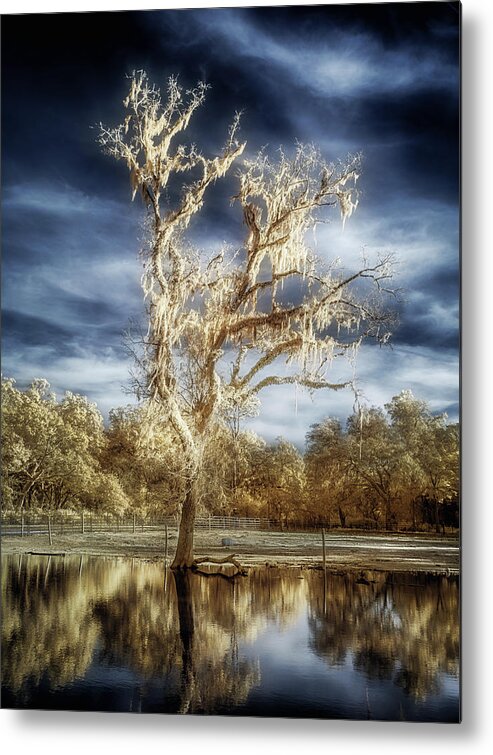 Flora Metal Print featuring the photograph Lost in the flood by Steve Zimic