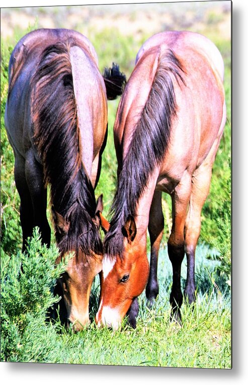 Horses Metal Print featuring the photograph Meal Sharing by Merle Grenz