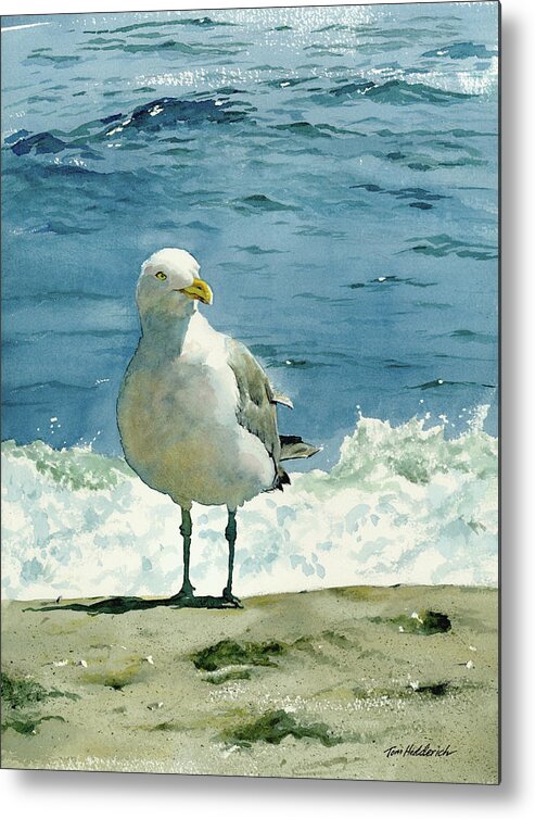 Seashore Print Metal Print featuring the painting Montauk Gull by Tom Hedderich
