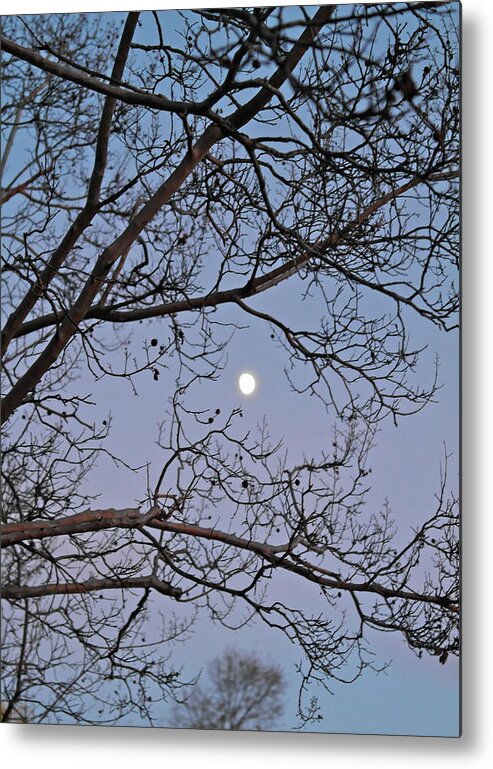 November Metal Print featuring the photograph November Moon by Michele Myers