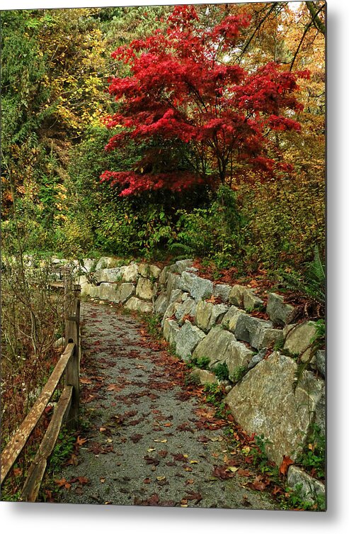 Path Metal Print featuring the photograph On The Path by Connie Handscomb