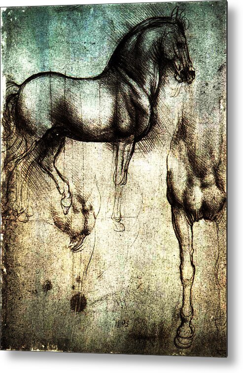 . Metal Print featuring the digital art Parchment of Horses by Laura Boyd