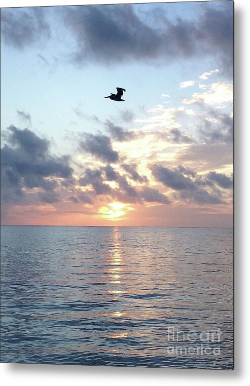Pelican Metal Print featuring the photograph Pelican Dawn by Barbara Von Pagel