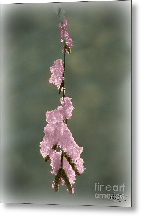 Ice Metal Print featuring the photograph Pink Ice by Barbara S Nickerson