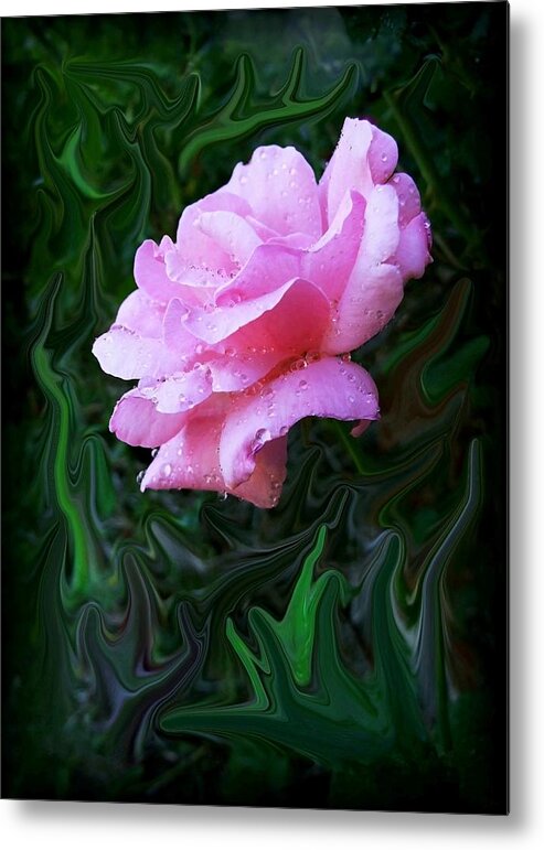 Rose Metal Print featuring the photograph Pink Rose by Jim Darnall