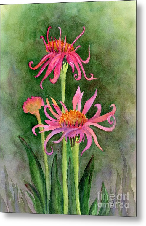 Coneflower Metal Print featuring the painting Pink Tutus - Coneflowers by Amy Kirkpatrick