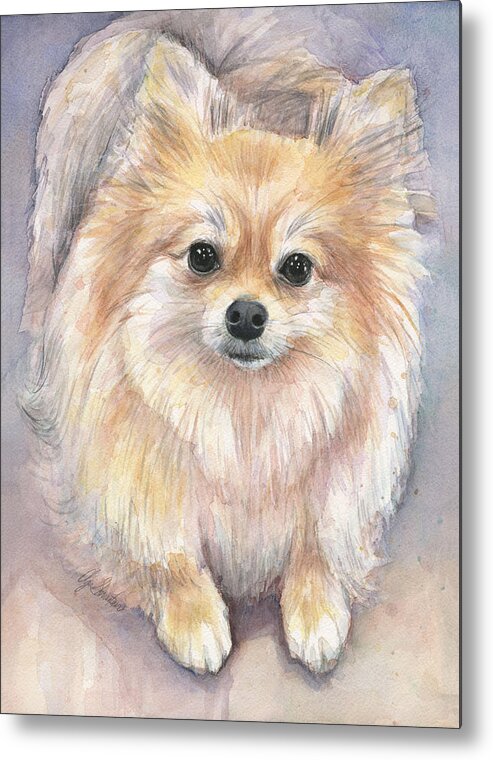 Pomeranian Metal Print featuring the painting Pomeranian Watercolor by Olga Shvartsur
