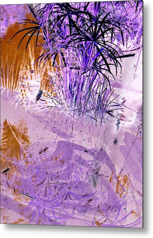 Surreal-nature-photos Metal Print featuring the digital art Pool Party I.C. by John Hintz