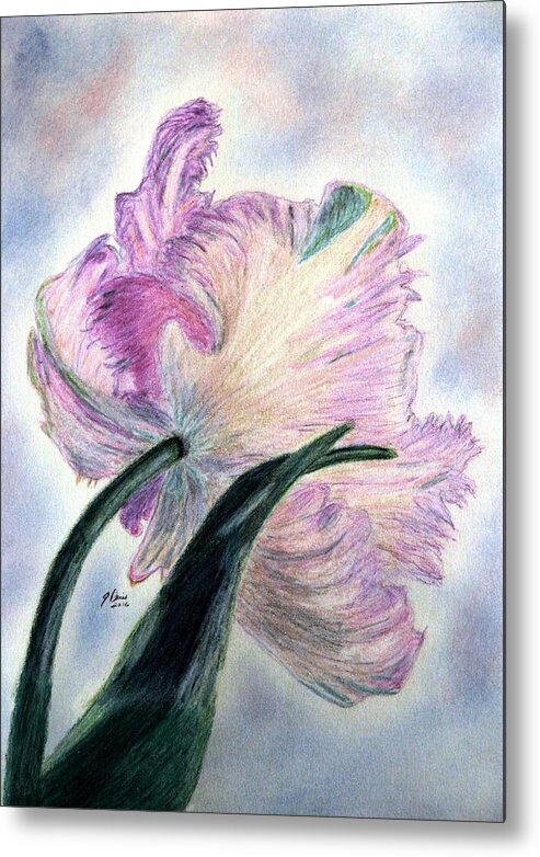 Mauve Parrot Tulips Metal Print featuring the drawing Queen Of Spring by Angela Davies