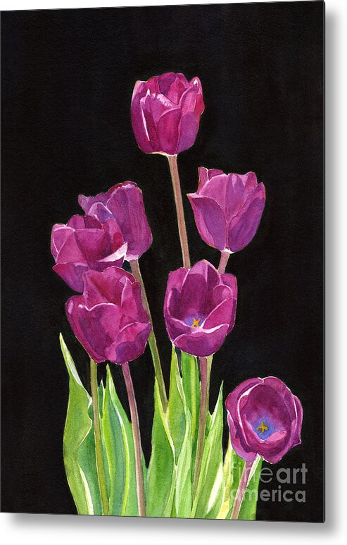 Red Violet Tulips with Black Background Metal Print by Sharon Freeman -  Fine Art America