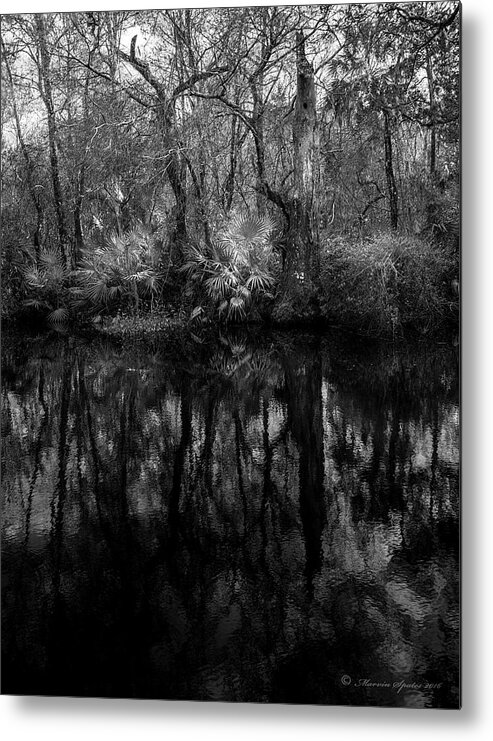 Booker Creek Metal Print featuring the photograph River Bank Palmetto by Marvin Spates