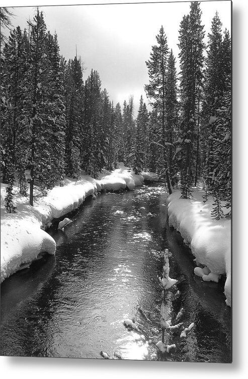 River Metal Print featuring the photograph River in Yellowstone by Pat Moore