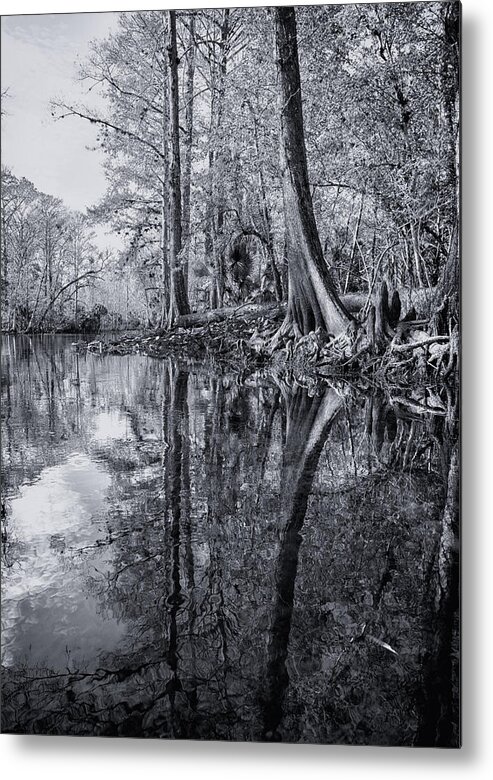Crystal Yingling Metal Print featuring the photograph Silver River by Ghostwinds Photography