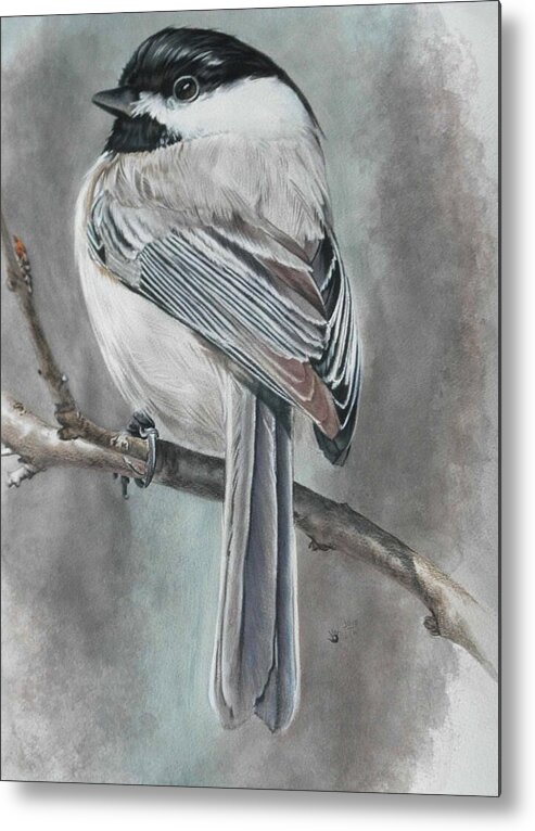 Bird Metal Print featuring the mixed media Spunky by Barbara Keith