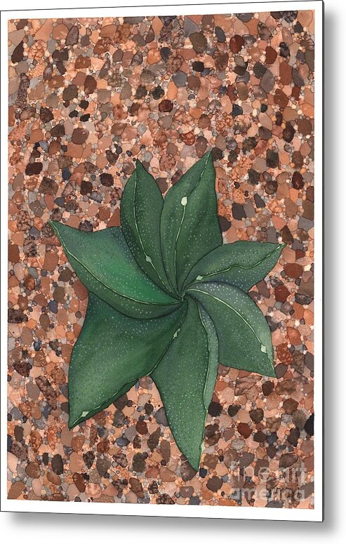 Succulent Metal Print featuring the painting Star Succulent by Hilda Wagner