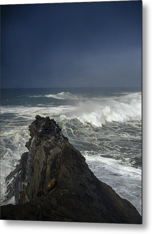 Charleston Metal Print featuring the photograph Stormy Day at Sunset Bay by Robert Potts