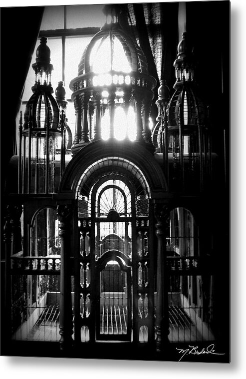 Cage Metal Print featuring the photograph Strange Cage by Melissa Lutes