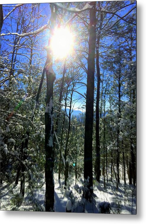 Photography Metal Print featuring the photograph Sunbeam Winter by Lessandra Grimley