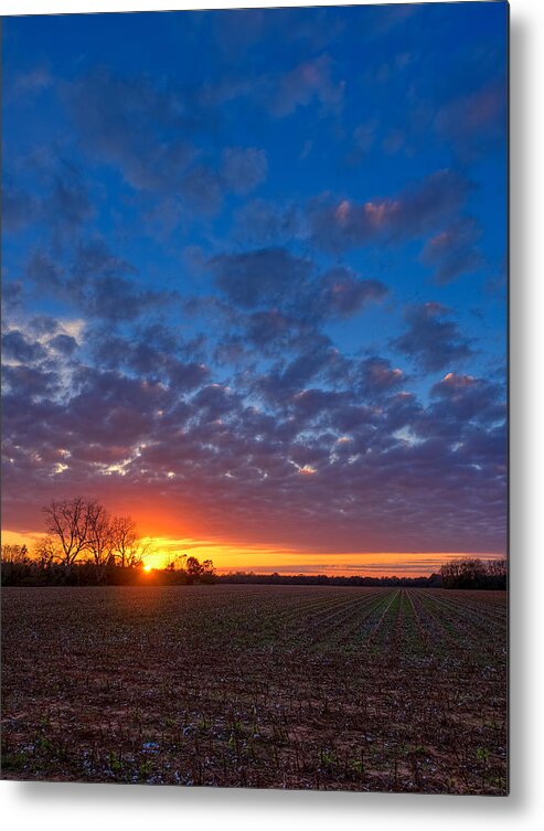 Sunset Metal Print featuring the photograph Sunset Field by Brad Boland