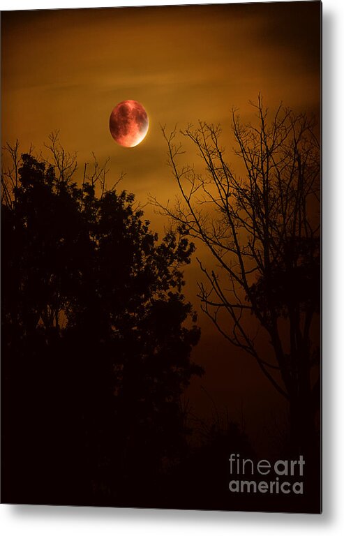 Moon Metal Print featuring the photograph Super Harvest Blood Moon Over Warren Dunes by Brett Maniscalco