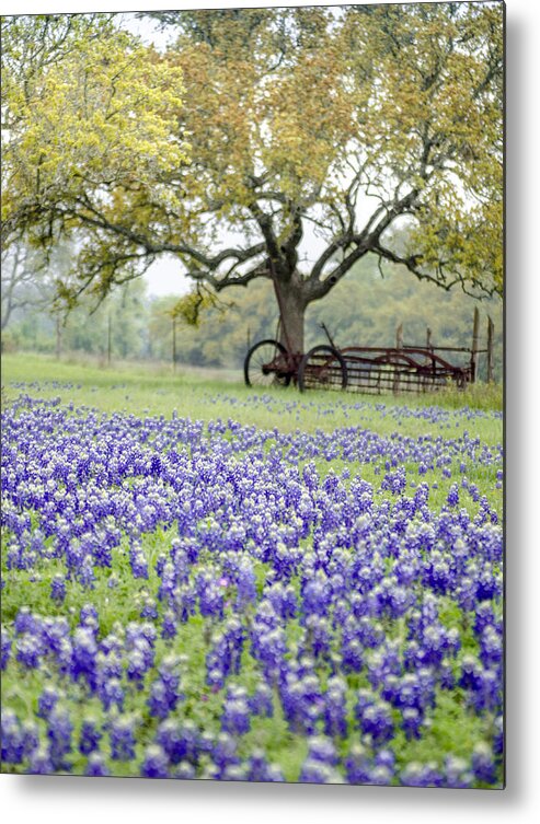 Texas Metal Print featuring the photograph Texas Bluebonnets and Rust by Debbie Karnes