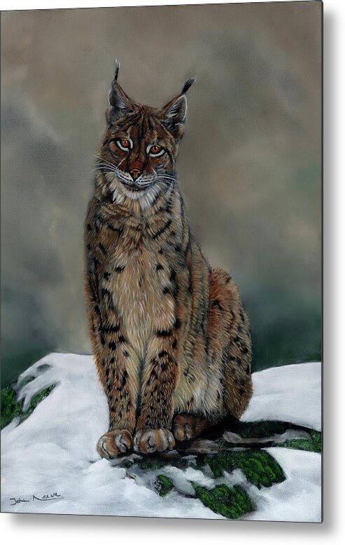Lynx Metal Print featuring the painting The Missing Lynx by John Neeve