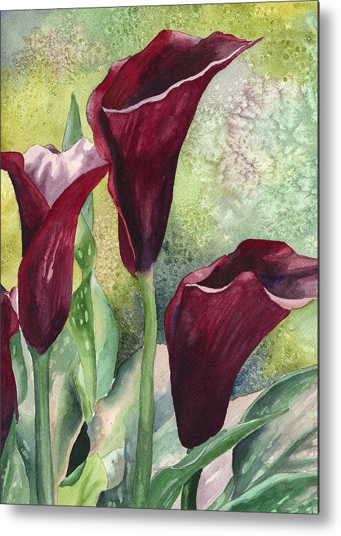 Calla Lily Painting Metal Print featuring the painting Three Callas by Anne Gifford