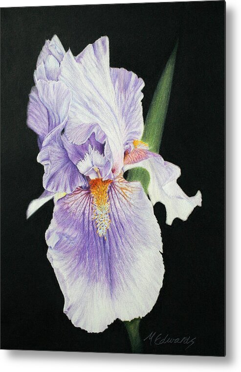 Iris Metal Print featuring the drawing Tonto Basin Iris by Marna Edwards Flavell