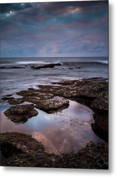 California Metal Print featuring the photograph Tropical Punch by Jason Roberts