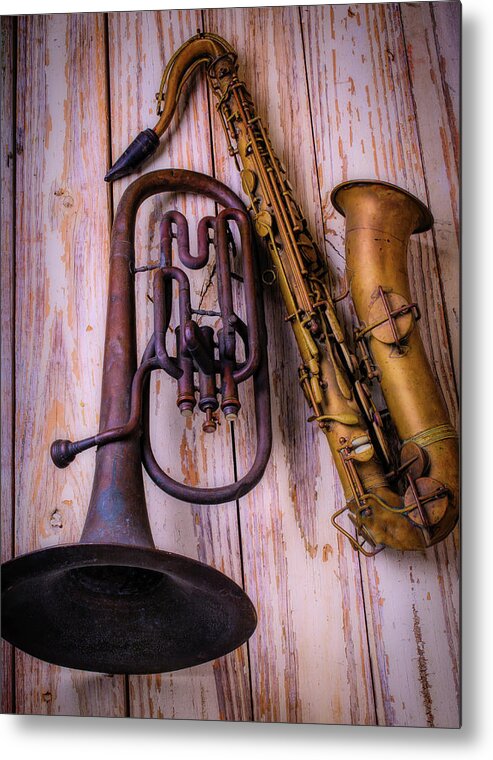 Color Metal Print featuring the photograph Two Horns by Garry Gay