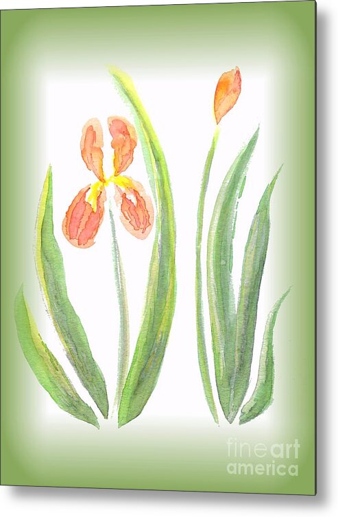 Art Metal Print featuring the painting Two Orange Iris green frame by Delynn Addams